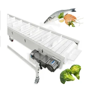 plastic conveyor belt​